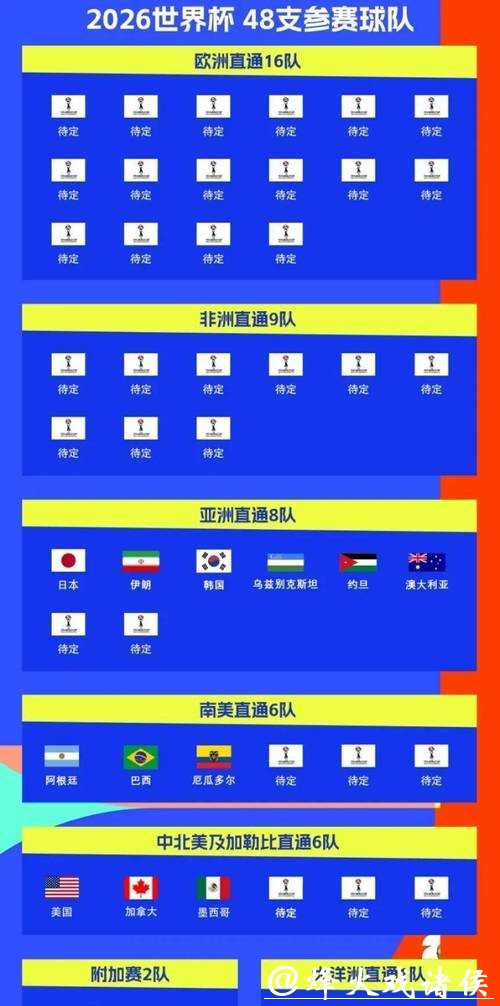 如何选择2026世界杯投注平台